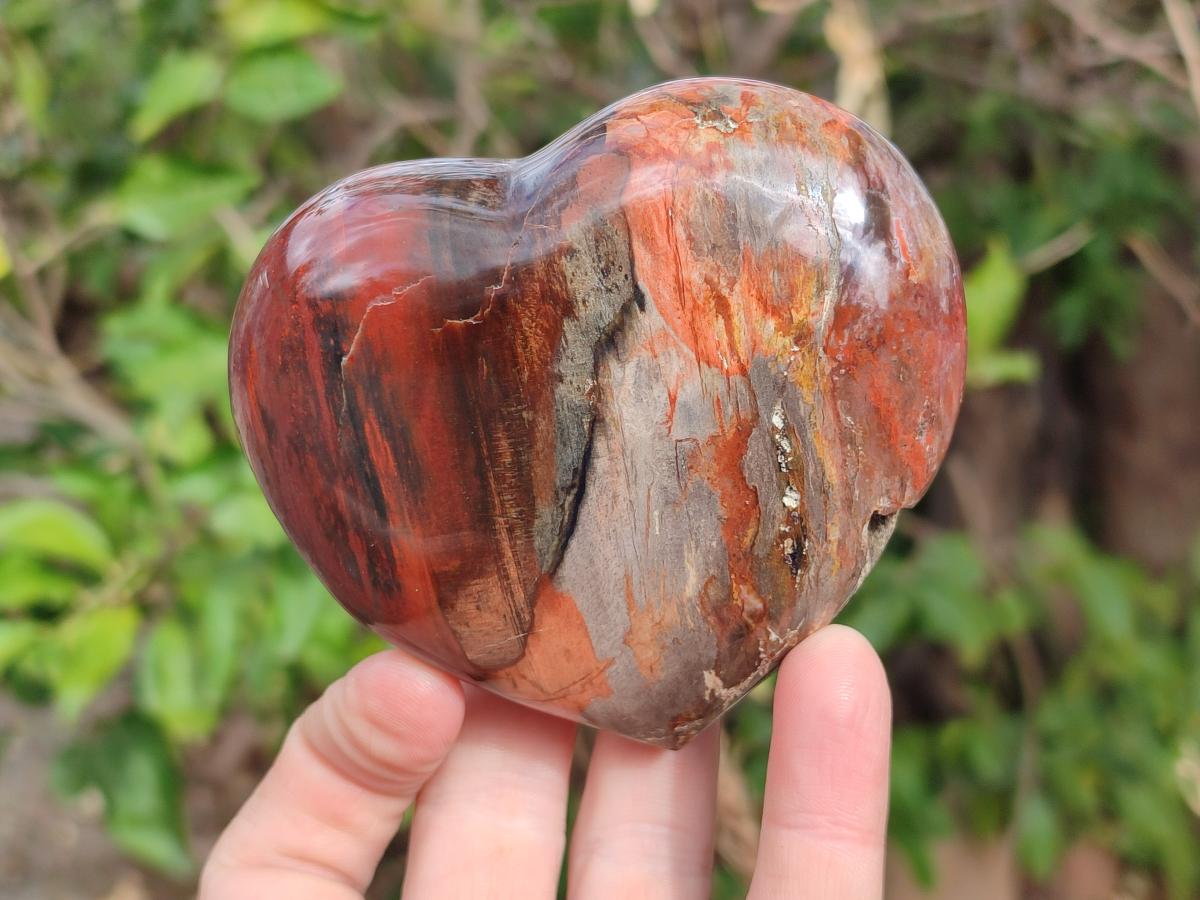 Polished Red Podocarpus Petrified Wood Hearts x 2 From Marovoay, Madagascar - Toprock Gemstones and Minerals 