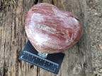 Polished Red Podocarpus Petrified Wood Hearts x 2 From Marovoay, Madagascar - Toprock Gemstones and Minerals 