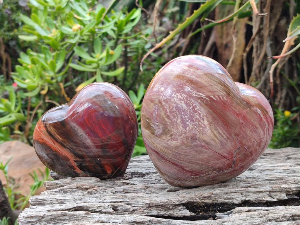 Polished Red Podocarpus Petrified Wood Hearts x 2 From Marovoay, Madagascar - Toprock Gemstones and Minerals 