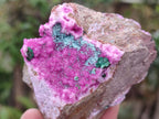Natural Salrose Cobaltoan Dolomite Specimens x 12 From Kakanda, Congo - Toprock Gemstones and Minerals 