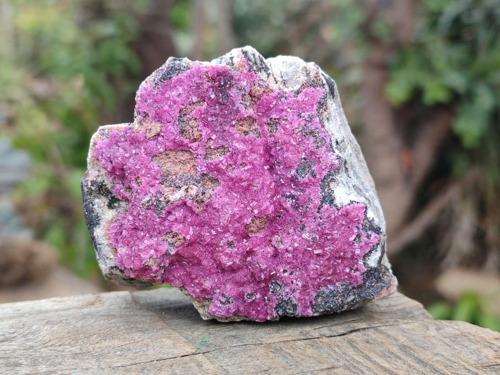 Natural Salrose Cobaltoan Dolomite Specimens x 12 From Kakanda, Congo - Toprock Gemstones and Minerals 