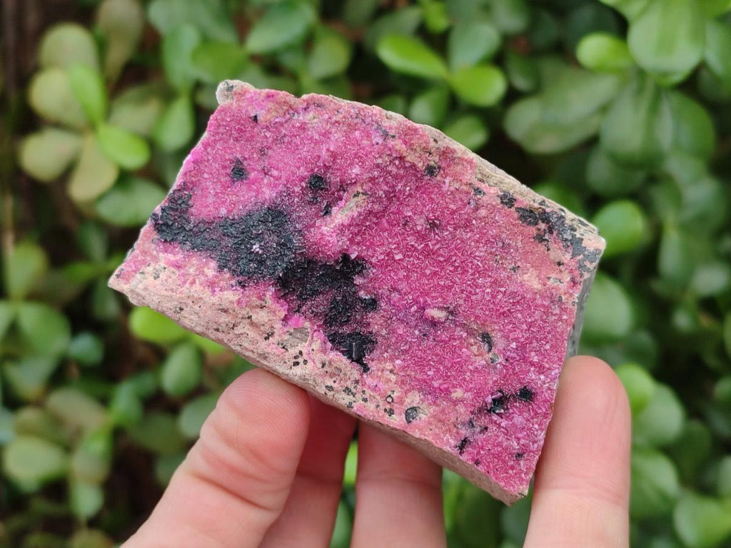 Natural Salrose Cobaltoan Dolomite Specimens x 12 From Kakanda, Congo - Toprock Gemstones and Minerals 