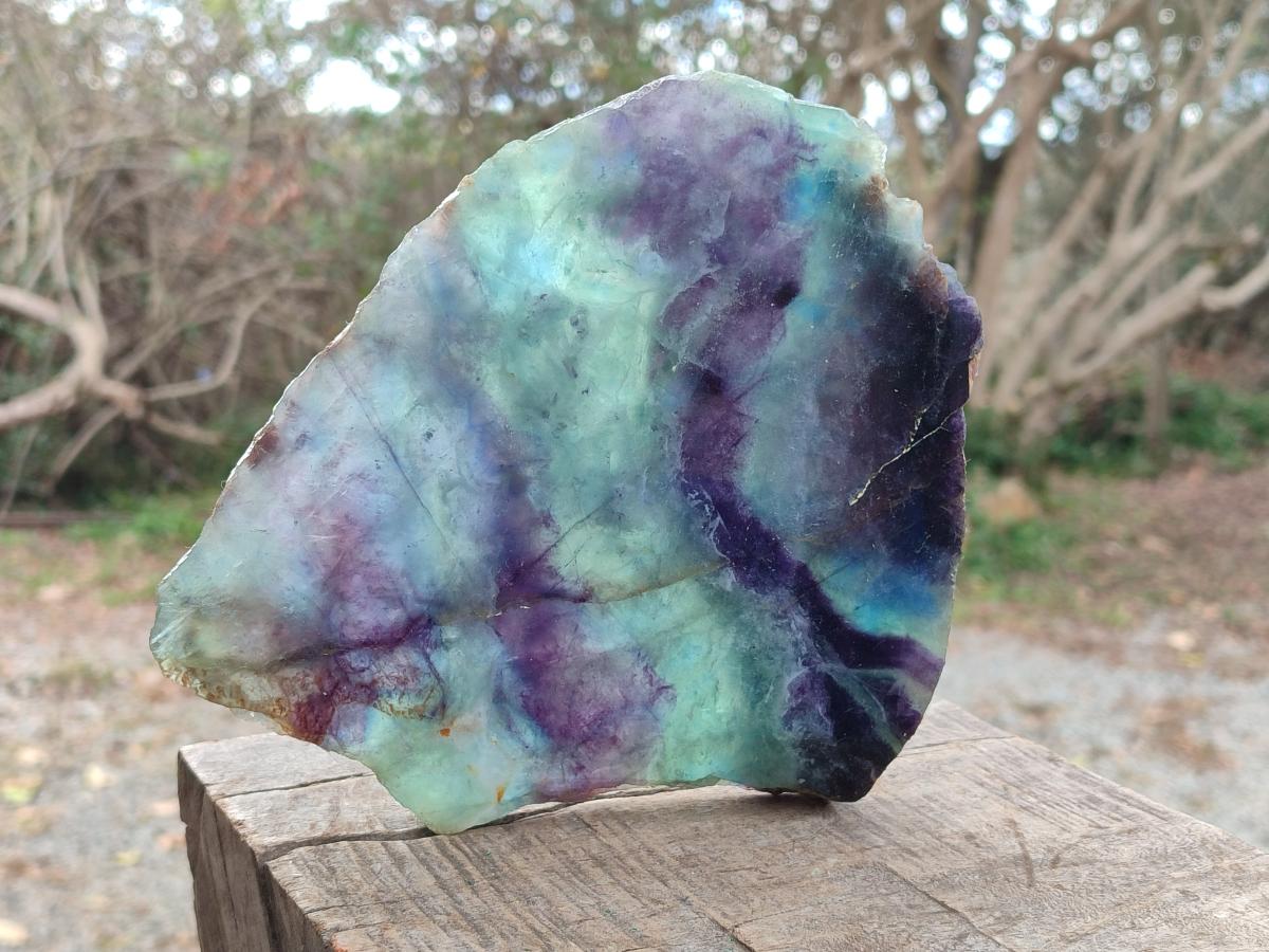 Polished Watermelon Fluorite Slices with Natural Edging x 2 From Uis, Namibia - Toprock Gemstones and Minerals 