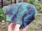 Polished Watermelon Fluorite Slices with Natural Edging x 2 From Uis, Namibia - Toprock Gemstones and Minerals 