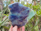 Polished Watermelon Fluorite Slices with Natural Edging x 2 From Uis, Namibia - Toprock Gemstones and Minerals 