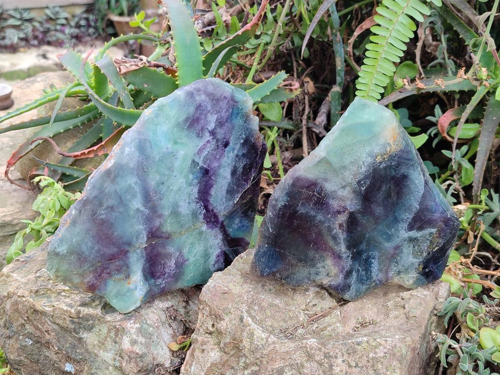 Polished Watermelon Fluorite Slices with Natural Edging x 2 From Uis, Namibia - Toprock Gemstones and Minerals 