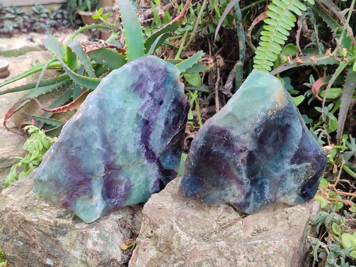 Polished Watermelon Fluorite Slices with Natural Edging x 2 From Uis, Namibia - Toprock Gemstones and Minerals 