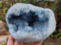 Natural Large Blue Celestite Geode Specimen x 1 From Sakoany, Madagascar - Toprock Gemstones and Minerals 