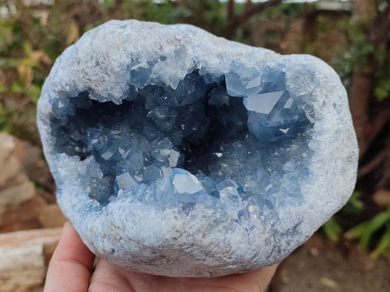 Natural Large Blue Celestite Geode Specimen x 1 From Sakoany, Madagascar - Toprock Gemstones and Minerals 