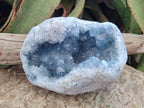 Natural Large Blue Celestite Geode Specimen x 1 From Sakoany, Madagascar - Toprock Gemstones and Minerals 