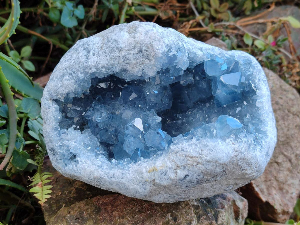 Natural Large Blue Celestite Geode Specimen x 1 From Sakoany, Madagascar - Toprock Gemstones and Minerals 