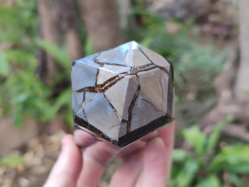 Polished and Natural Septerye Sauvage Display Crystals x 2 From Mahajanga, Madagascar - Toprock Gemstones and Minerals 