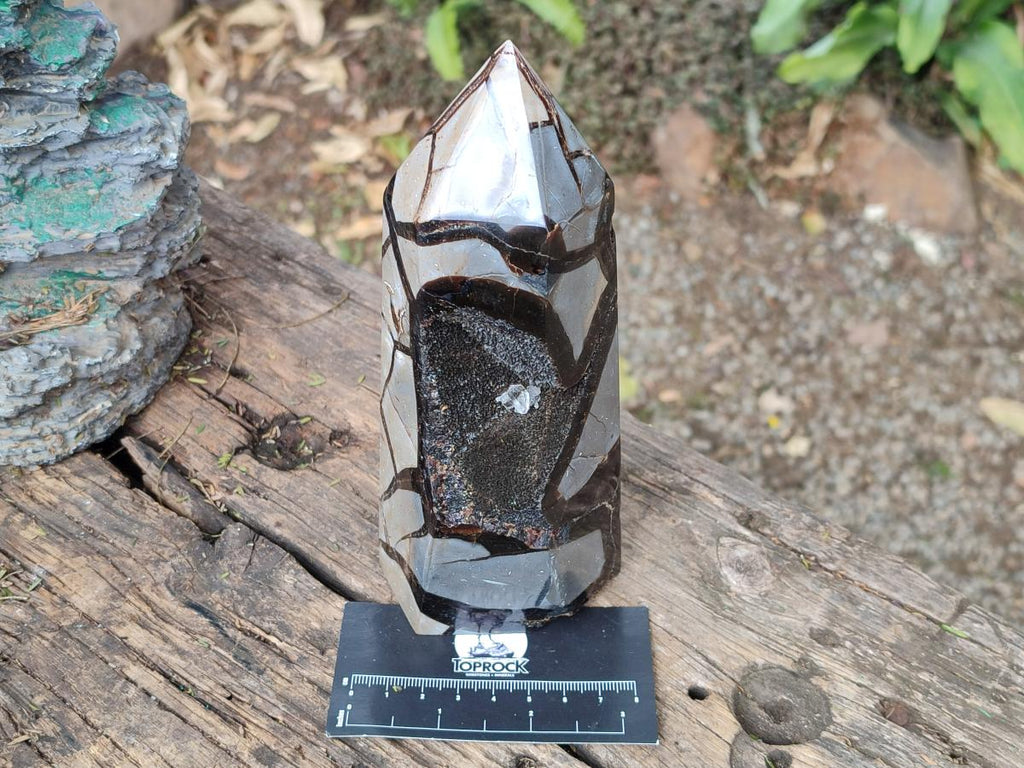 Polished and Natural Septerye Sauvage Display Crystals x 2 From Mahajanga, Madagascar - Toprock Gemstones and Minerals 