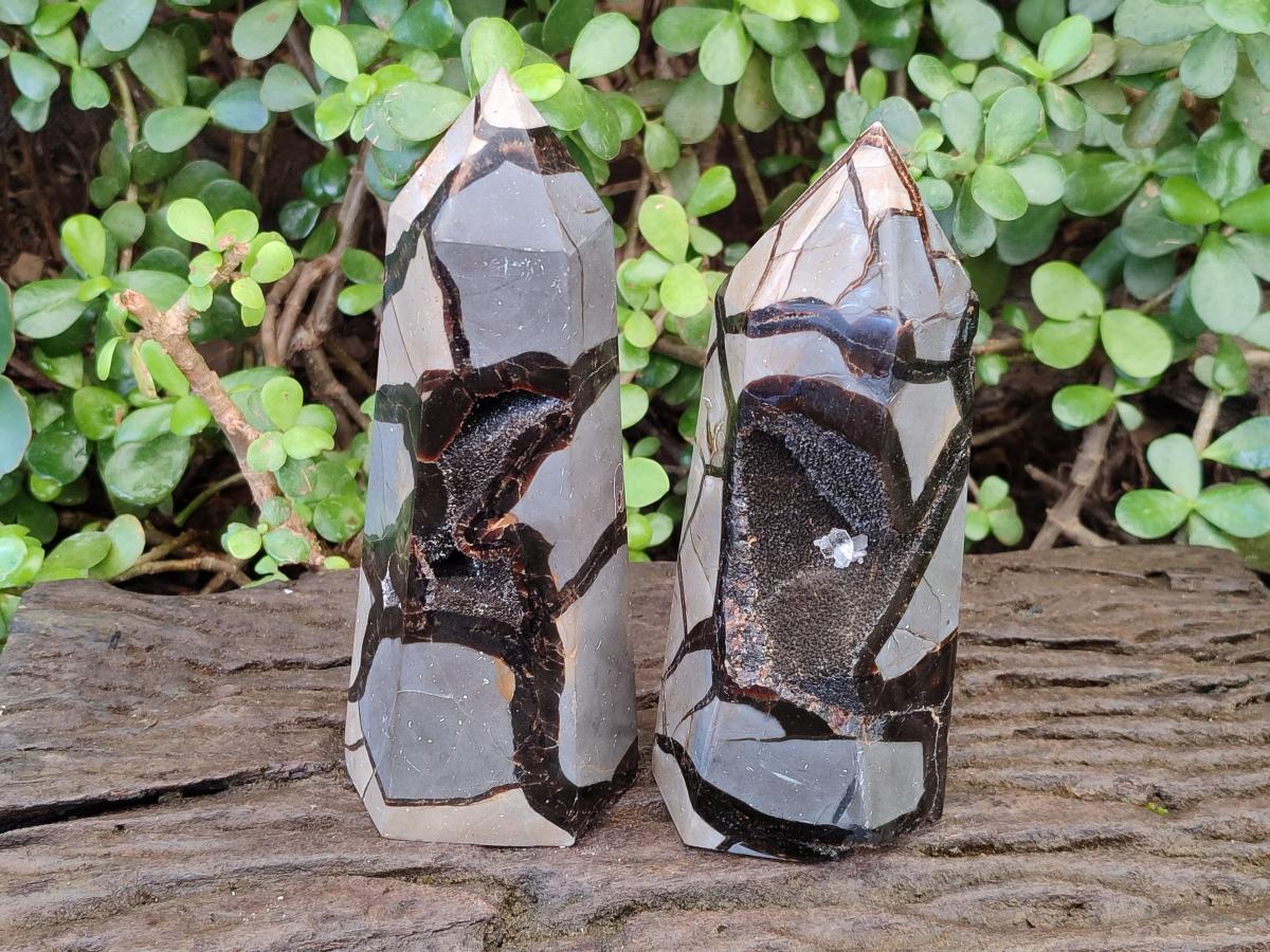 Polished and Natural Septerye Sauvage Display Crystals x 2 From Mahajanga, Madagascar - Toprock Gemstones and Minerals 