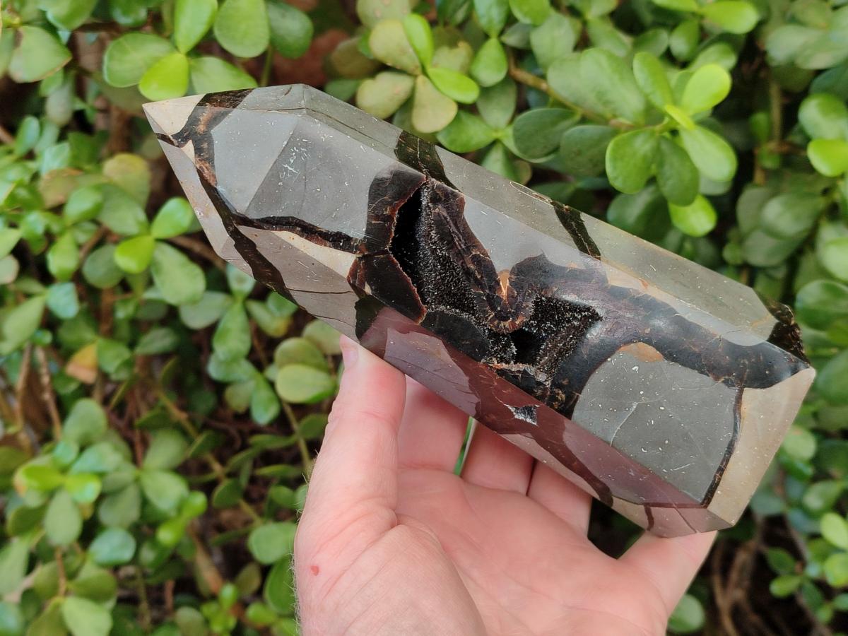 Polished and Natural Septerye Sauvage Display Crystals x 2 From Mahajanga, Madagascar - Toprock Gemstones and Minerals 