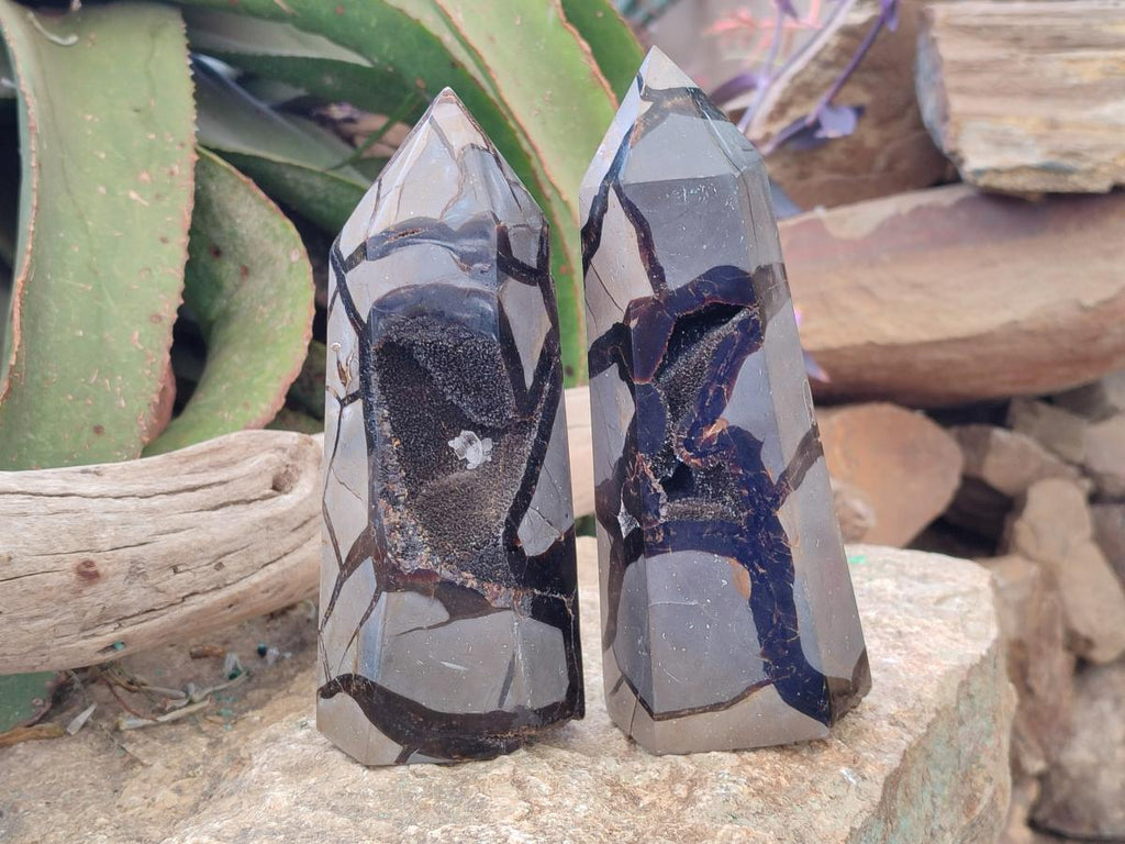 Polished and Natural Septerye Sauvage Display Crystals x 2 From Mahajanga, Madagascar - Toprock Gemstones and Minerals 