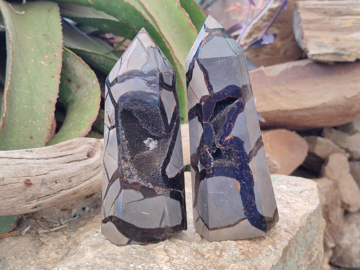 Polished and Natural Septerye Sauvage Display Crystals x 2 From Mahajanga, Madagascar - Toprock Gemstones and Minerals 