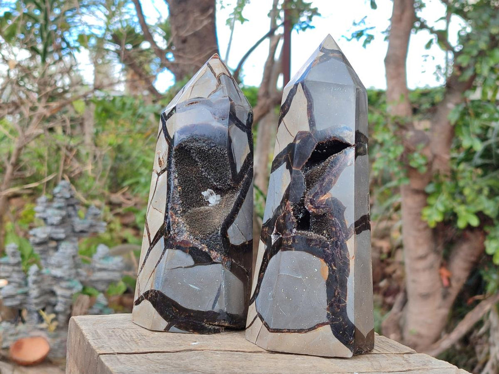 Polished and Natural Septerye Sauvage Display Crystals x 2 From Mahajanga, Madagascar - Toprock Gemstones and Minerals 