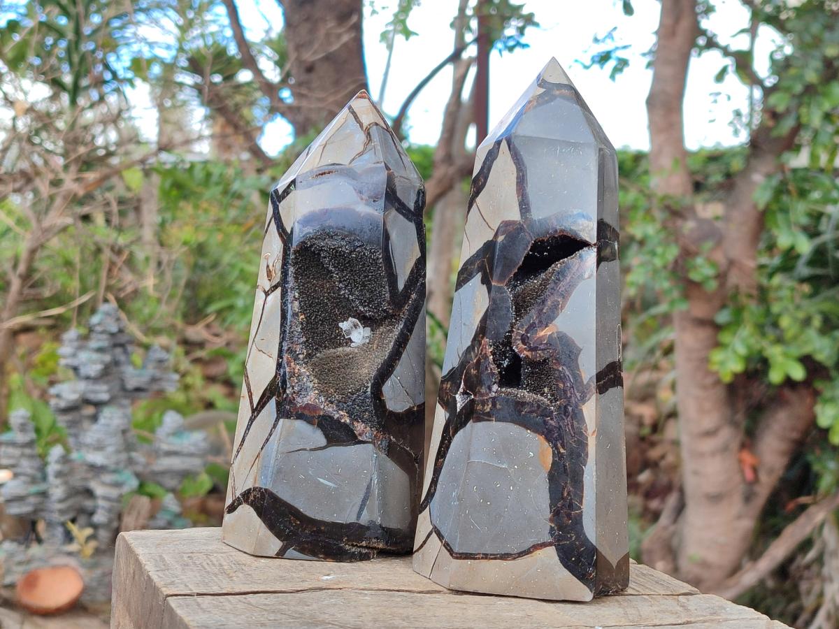 Polished and Natural Septerye Sauvage Display Crystals x 2 From Mahajanga, Madagascar - Toprock Gemstones and Minerals 