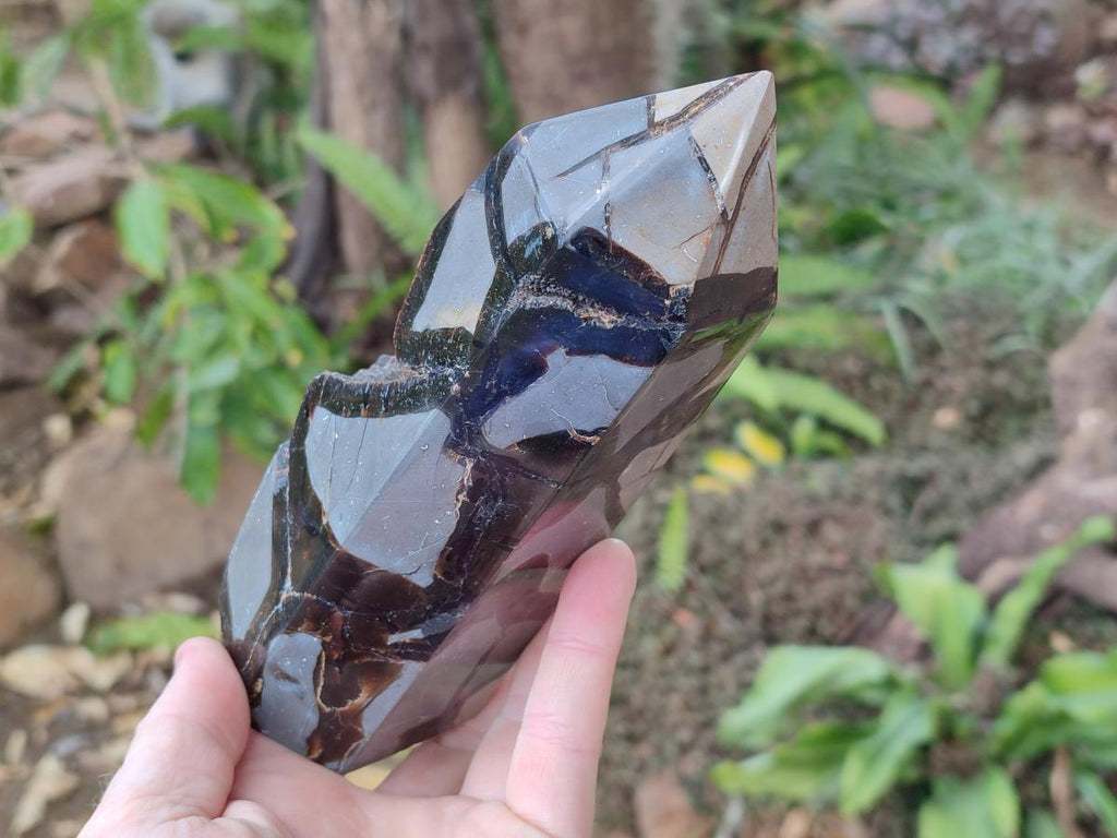 Polished and Natural Septerye Sauvage Display Crystals x 2 From Mahajanga, Madagascar - Toprock Gemstones and Minerals 