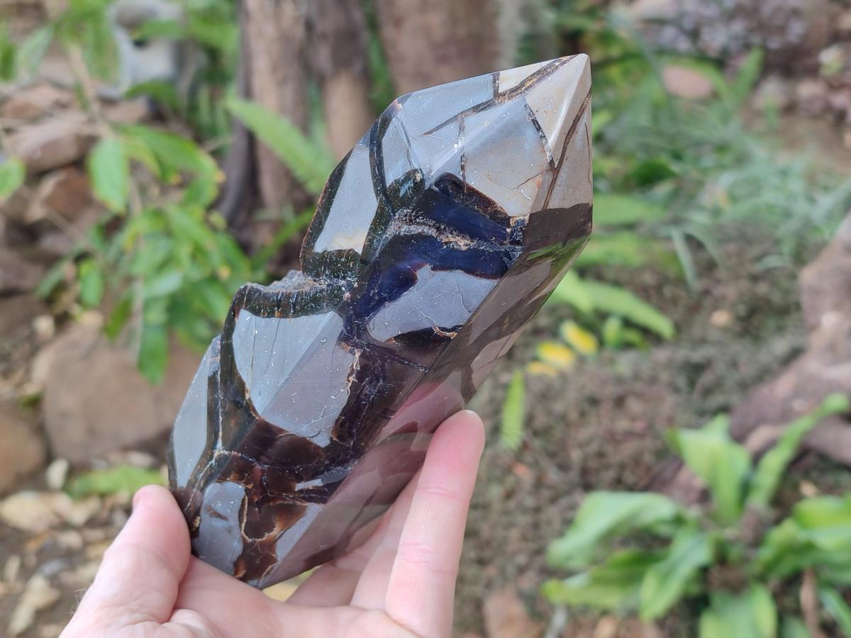 Polished and Natural Septerye Sauvage Display Crystals x 2 From Mahajanga, Madagascar - Toprock Gemstones and Minerals 