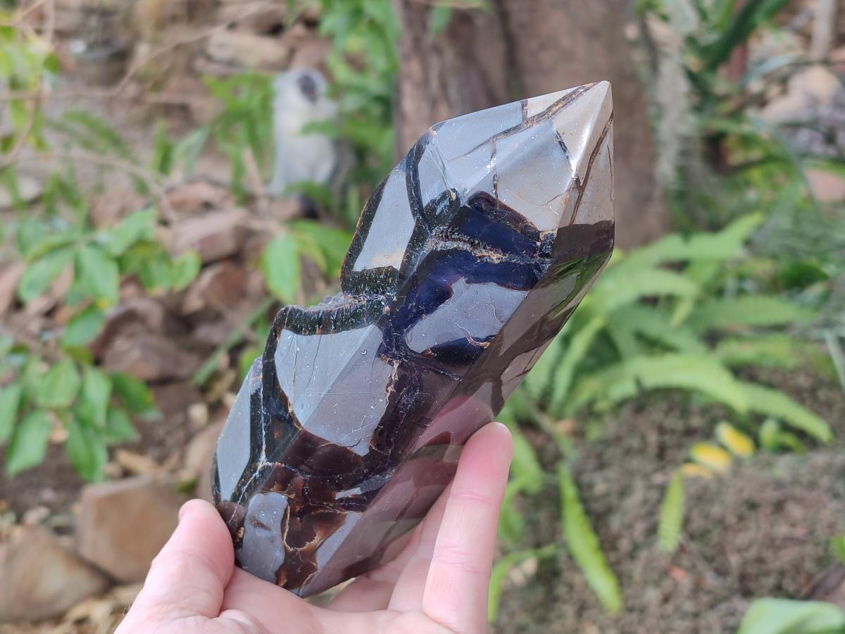 Polished and Natural Septerye Sauvage Display Crystals x 2 From Mahajanga, Madagascar - Toprock Gemstones and Minerals 