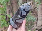 Polished and Natural Septerye Sauvage Display Crystals x 2 From Mahajanga, Madagascar - Toprock Gemstones and Minerals 
