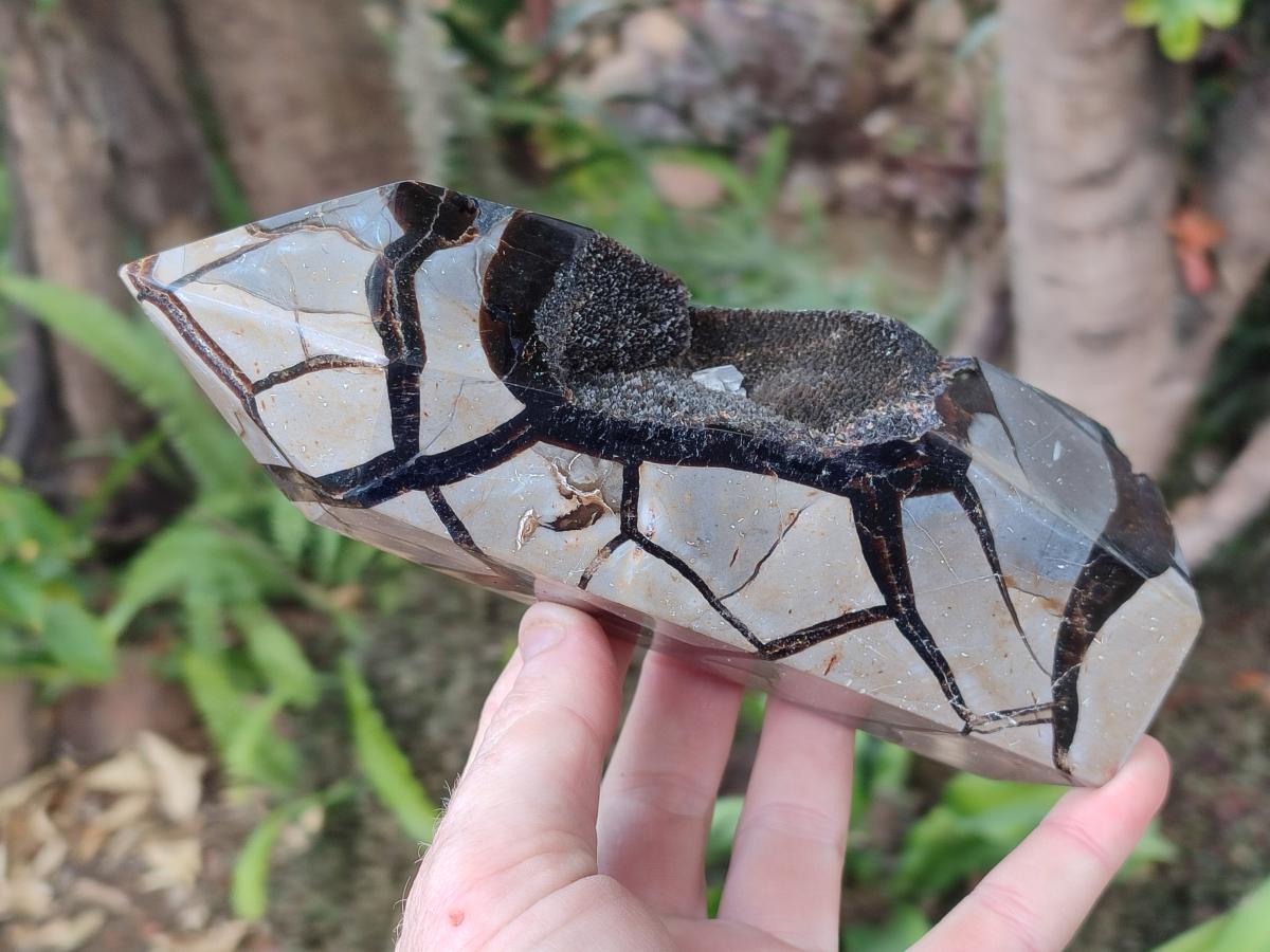 Polished and Natural Septerye Sauvage Display Crystals x 2 From Mahajanga, Madagascar - Toprock Gemstones and Minerals 