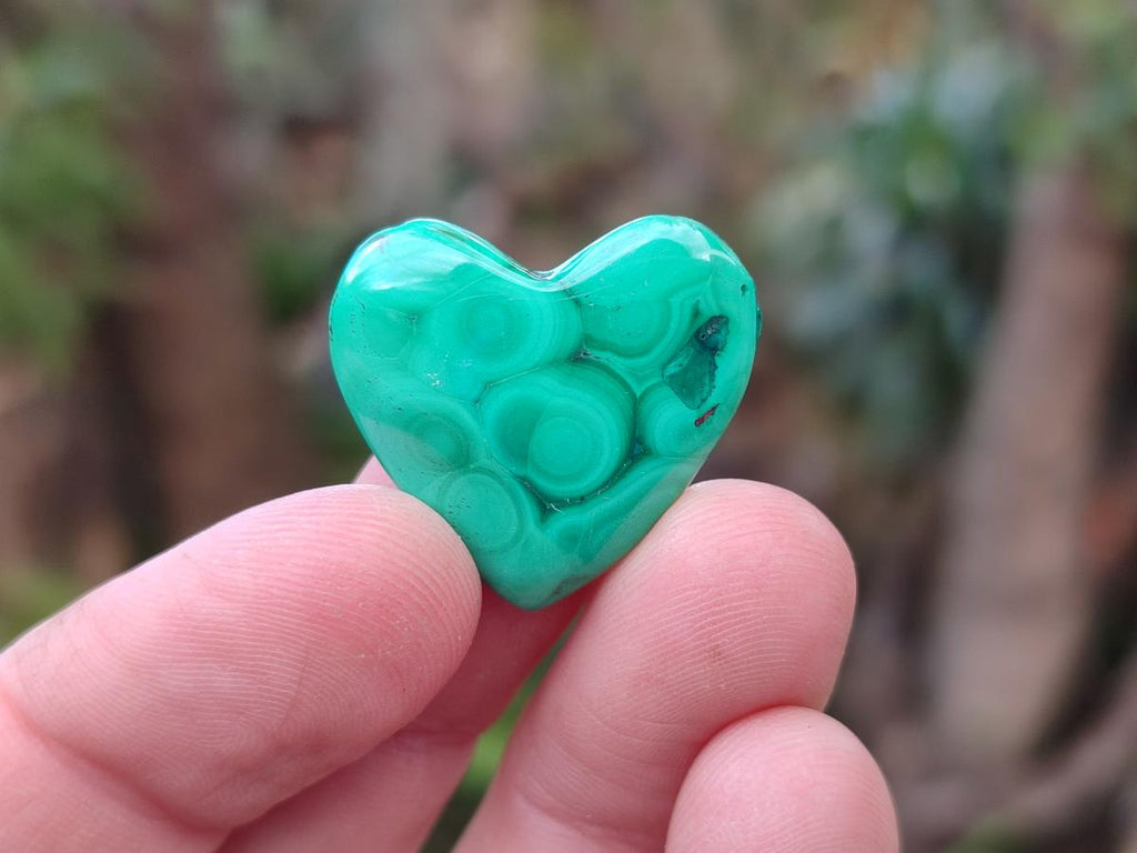 Polished Mini Flower Banded Malachite Jewellery Hearts x 43 From Congo - Toprock Gemstones and Minerals 