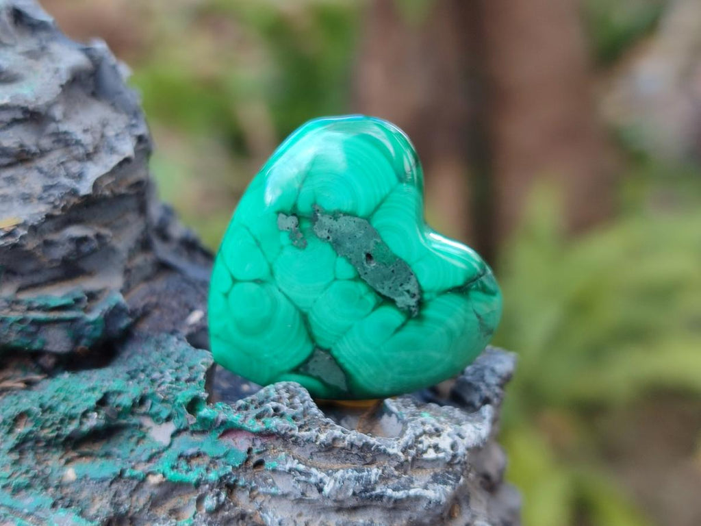 Polished Mini Flower Banded Malachite Jewellery Hearts x 43 From Congo - Toprock Gemstones and Minerals 