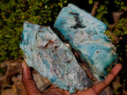 Polished One Side Great Dyke Mtorolite Chrysoprase Slices x 6 From Great Dyke Mountain Range, Zimbabwe - Toprock Gemstones and Minerals 