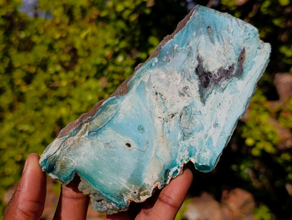 Polished One Side Great Dyke Mtorolite Chrysoprase Slices x 6 From Great Dyke Mountain Range, Zimbabwe - Toprock Gemstones and Minerals 