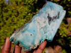 Polished One Side Great Dyke Mtorolite Chrysoprase Slices x 6 From Great Dyke Mountain Range, Zimbabwe - Toprock Gemstones and Minerals 