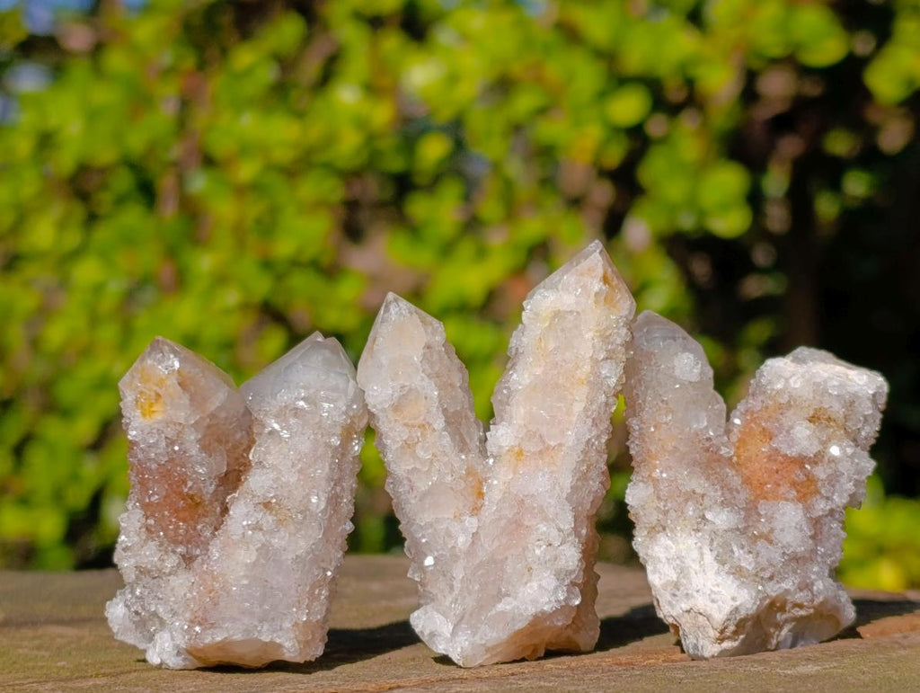Natural Smokey Spirit Quartz Crystals with Hematoid Coating x 35 From Boekenhouthoek, South Africa - Toprock Gemstones and Minerals 