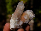 Natural Smokey Spirit Quartz Crystals with Hematoid Coating x 35 From Boekenhouthoek, South Africa - Toprock Gemstones and Minerals 