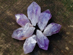 Natural Jacaranda Amethyst Single Crystals x 24 From Mumbwa, Zambia - Toprock Gemstones and Minerals 