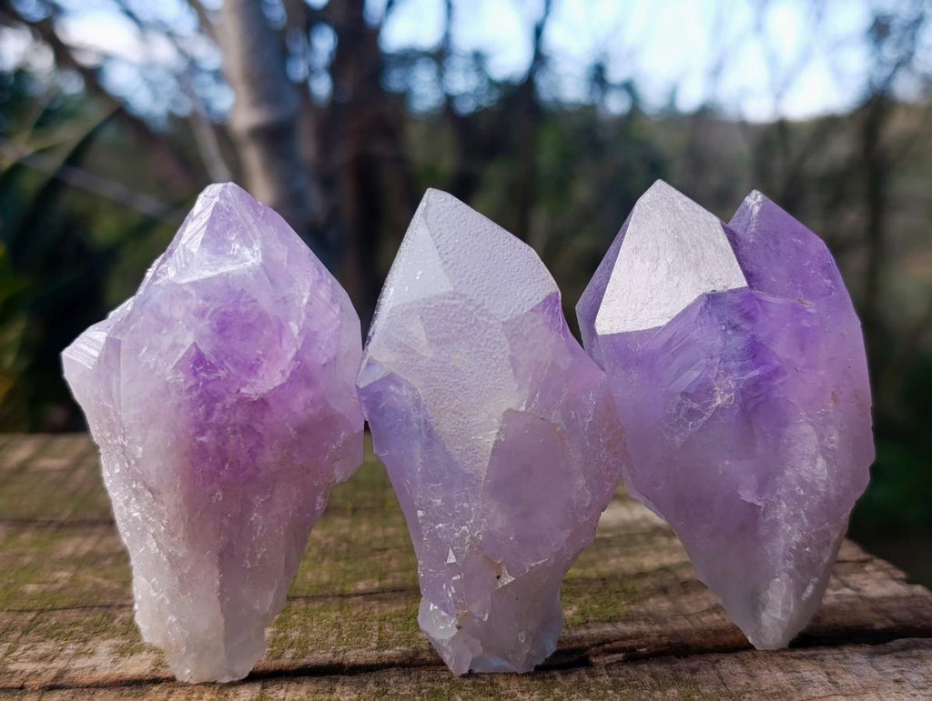 Natural Jacaranda Amethyst Single Crystals x 24 From Mumbwa, Zambia - Toprock Gemstones and Minerals 