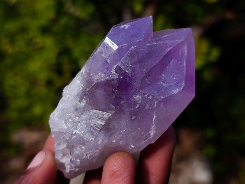 Natural Jacaranda Amethyst Single Crystals x 24 From Mumbwa, Zambia - Toprock Gemstones and Minerals 