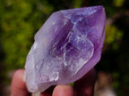 Natural Jacaranda Amethyst Single Crystals x 24 From Mumbwa, Zambia - Toprock Gemstones and Minerals 