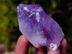 Natural Jacaranda Amethyst Single Crystals x 24 From Mumbwa, Zambia - Toprock Gemstones and Minerals 