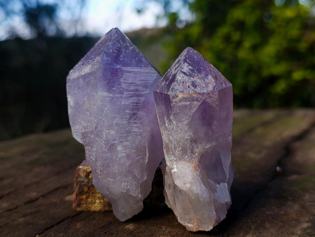 Natural Jacaranda Amethyst Single Crystals x 24 From Mumbwa, Zambia - Toprock Gemstones and Minerals 