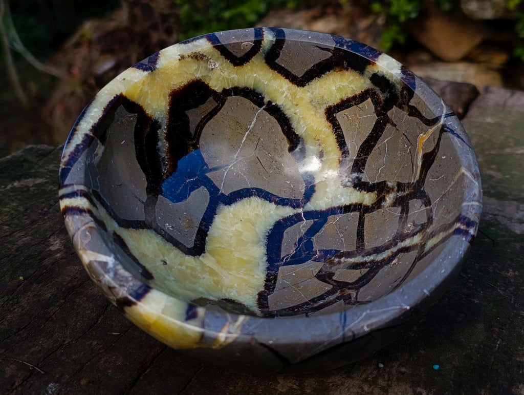 Polished Large Septerye Bowl x 1 From Mahajanga, Madagascar - Toprock Gemstones and Minerals 