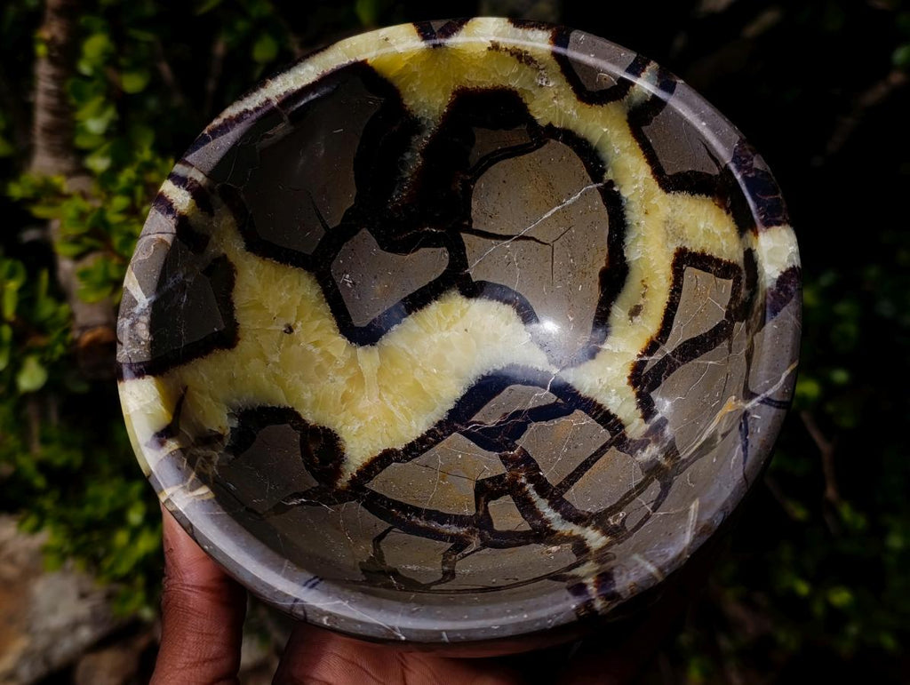 Polished Large Septerye Bowl x 1 From Mahajanga, Madagascar - Toprock Gemstones and Minerals 