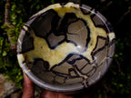 Polished Large Septerye Bowl x 1 From Mahajanga, Madagascar - Toprock Gemstones and Minerals 