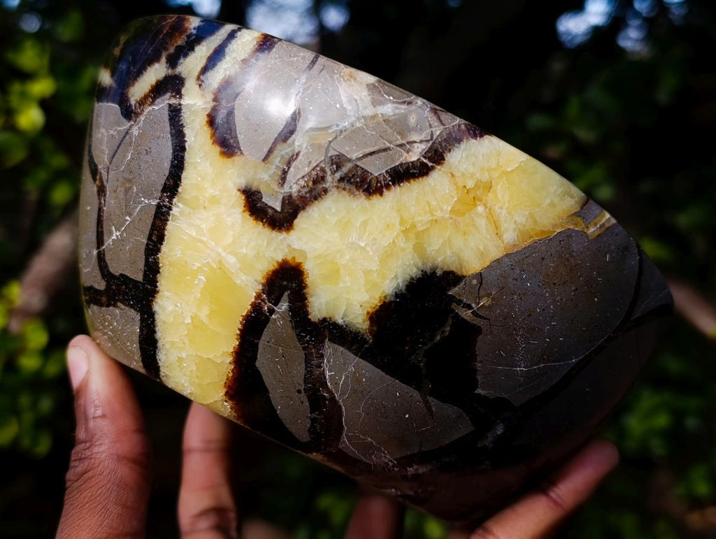 Polished Large Septerye Bowl x 1 From Mahajanga, Madagascar - Toprock Gemstones and Minerals 