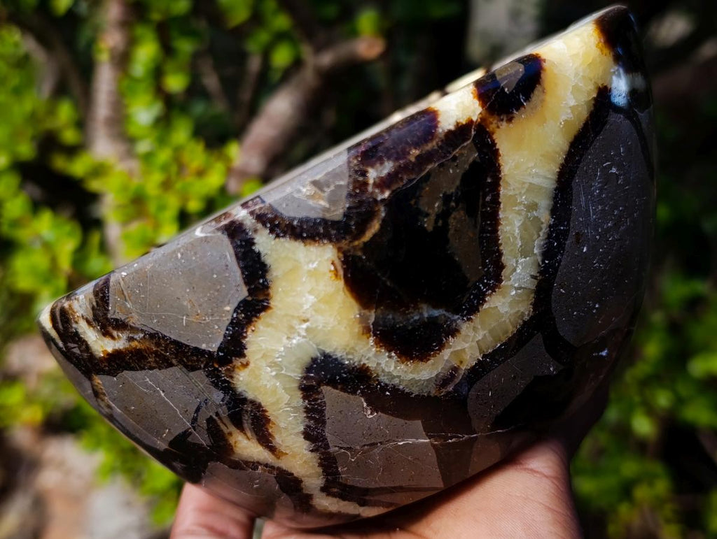 Polished Large Septerye Bowl x 1 From Mahajanga, Madagascar - Toprock Gemstones and Minerals 