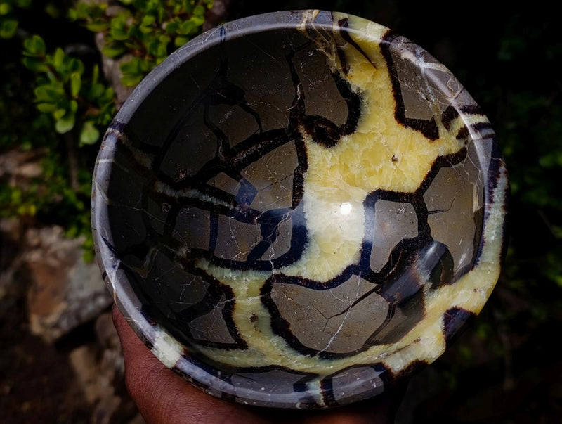 Polished Large Septerye Bowl x 1 From Mahajanga, Madagascar - Toprock Gemstones and Minerals 