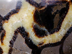 Polished Large Septerye Bowl x 1 From Mahajanga, Madagascar - Toprock Gemstones and Minerals 