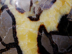 Polished Large Septerye Bowl x 1 From Mahajanga, Madagascar - Toprock Gemstones and Minerals 
