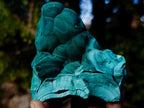 Natural Botryoidal Malachite Specimens x 5 From Congo - Toprock Gemstones and Minerals 